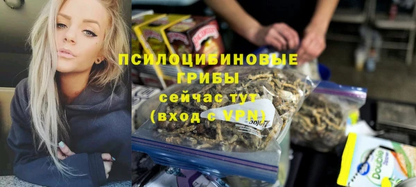 apvp Аша