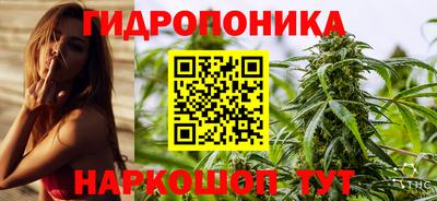 ПСИЛОЦИБИНОВЫЕ ГРИБЫ Камышлов