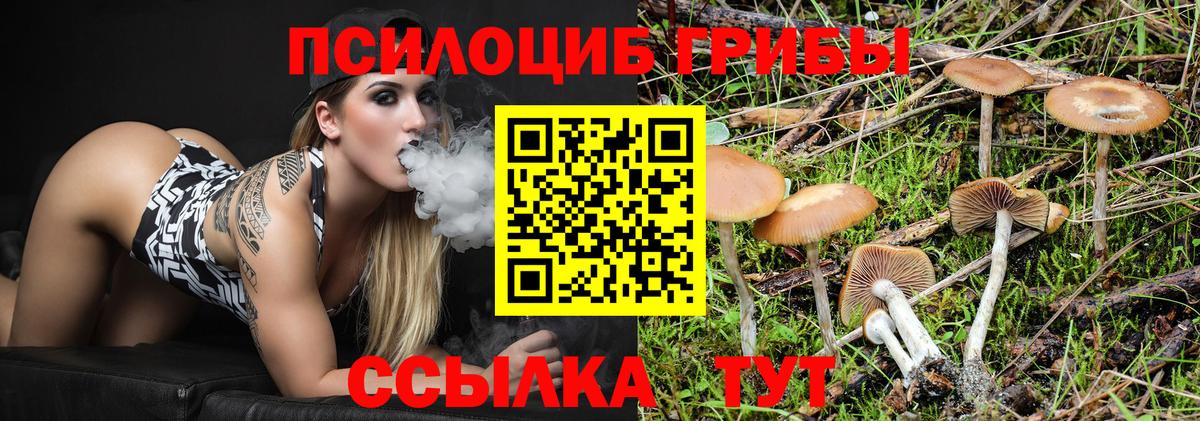 Псилоцибиновые грибы ЛСД  Вход с VPN  где можно купить наркотик  Иркутск 