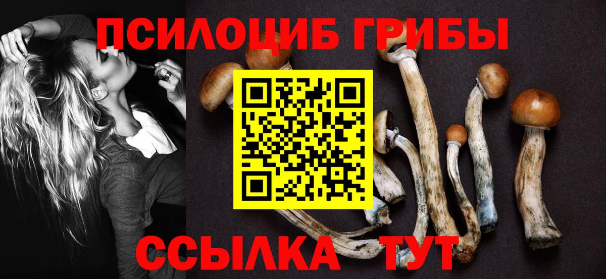 Галлюциногенные грибы Psilocybe  Иркутск 